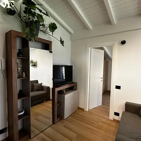 Como's Hill - Foresta *